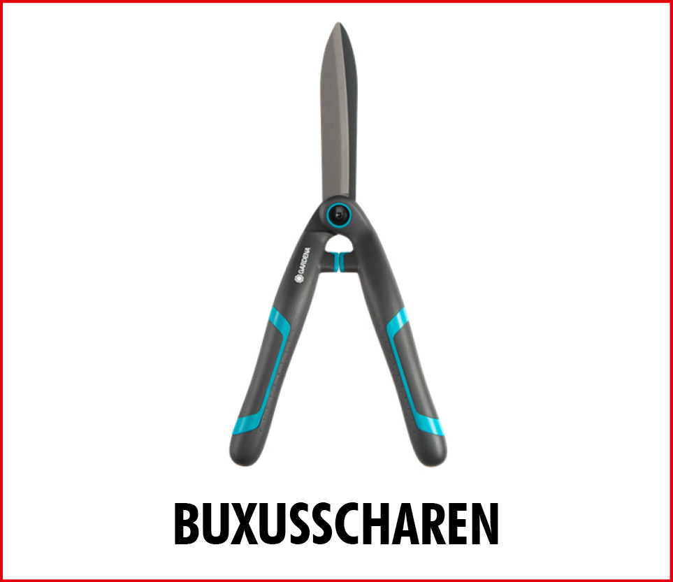 buxusscharen
