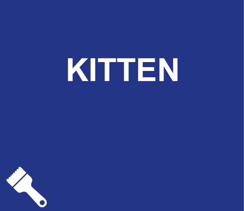 kitten