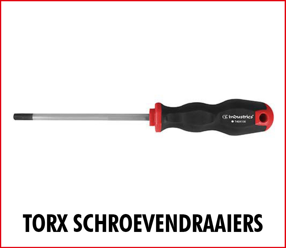 torx-schroevendraaiers